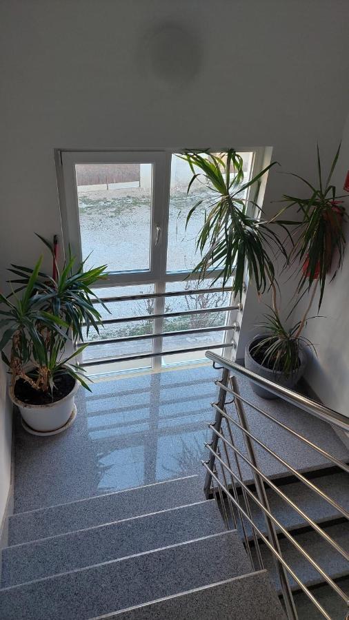 Omis Wind Rose Apartment Bagian luar foto